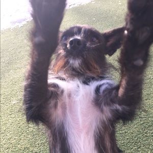 Meet your Posher, Chelsey